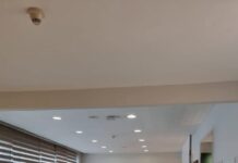 صفية العمري ضيفة شرف عيد الدكتور هراتش: ليلة لبنانية بطعم الفرح والعروبة